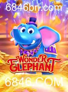 Descubra o Mundo Fascinante de WonderElephant